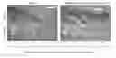 Fig. 01 - Plants having increased tolerance to herbicides