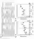 Fig. 08 - Human type 55 replication defective adenovirus vector, method for preparing same and uses thereof