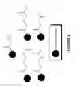 Fig. 05 - Lov-D acyltransferase mediated acylation