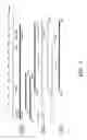 Fig. 06 - Fagopyritol synthase genes and uses thereof