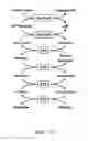Fig. 12 - Fagopyritol synthase genes and uses thereof