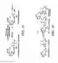 Fig. 28 - Fagopyritol synthase genes and uses thereof