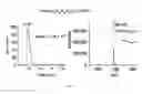 Fig. 07 - In vitro production of cyclic peptides