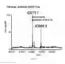 Fig. 09 - In vitro production of cyclic peptides