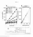 Fig. 02 - SYSTEMS AND METHODS FOR CHARACTERIZATION OF HYPERTRIGLYCERIDEMIA