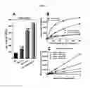 Fig. 07 - SYSTEMS AND METHODS FOR CHARACTERIZATION OF HYPERTRIGLYCERIDEMIA