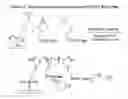 Fig. 06 - Arrays including a resin film and a patterned polymer layer