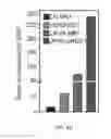 Fig. 23 - Lipid-polymer Hybrid Nanoparticle Biochip and Application Thereof