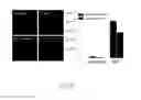 Fig. 34 - Lipid-polymer Hybrid Nanoparticle Biochip and Application Thereof