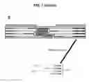 Fig. 06 - Methods of producing nucleic acid libraries and compositions and kits for practicing same