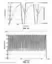 Fig. 06 - Methods for fast nucleic acid amplification