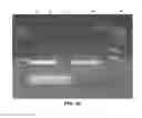 Fig. 08 - Methods for fast nucleic acid amplification