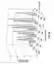 Fig. 12 - Methods for fast nucleic acid amplification