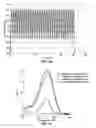 Fig. 13 - Methods for fast nucleic acid amplification