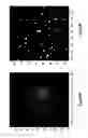 Fig. 34 - Assays for single molecule detection and use thereof