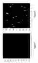 Fig. 35 - Assays for single molecule detection and use thereof