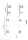 Fig. 37 - Assays for single molecule detection and use thereof