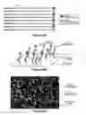 Fig. 41 - Assays for single molecule detection and use thereof