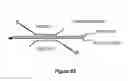 Fig. 46 - Assays for single molecule detection and use thereof