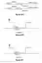 Fig. 50 - Assays for single molecule detection and use thereof