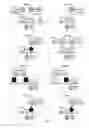 Fig. 02 - FETAL HAPLOTYPE IDENTIFICATION