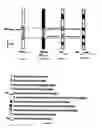 Fig. 05 - FETAL HAPLOTYPE IDENTIFICATION