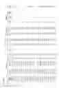 Fig. 23 - FETAL HAPLOTYPE IDENTIFICATION