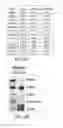 Fig. 07 - Allogeneic autophagosome-enriched composition for the treatment of disease