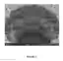 Fig. 04 - METHOD FOR ELECTROLESS PLATING