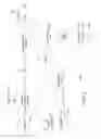 Fig. 04 - Material deposition to form a sheet structure