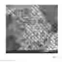 Fig. 03 - PROCESS TO PREPARE METAL NANOPARTICLES OR METAL OXIDE NANOPARTICLES