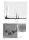 Fig. 05 - PROCESS TO PREPARE METAL NANOPARTICLES OR METAL OXIDE NANOPARTICLES