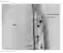 Fig. 02 - Stainproof fiber structure