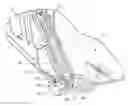 Fig. 01 - Dipper door trip assembly