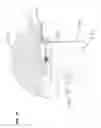 Fig. 34 - Columbarium