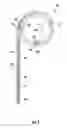 Fig. 06 - Cordless covering with tiltable vanes