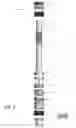 Fig. 04 - Millable bridge plug system