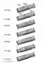 Fig. 09 - Free piston device