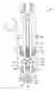 Fig. 01 - Injector including swirl device