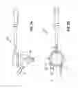 Fig. 06 - Injector including swirl device