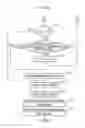 Fig. 32 - Exhaust purification system of internal combustion engine