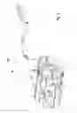 Fig. 09 - Evaporative emissions control for a vehicle