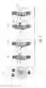 Fig. 04 - Bleed valve and self-bleeding pump provided with such valve