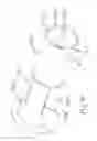 Fig. 30 - Hollow wall anchor
