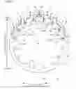 Fig. 07 - Tapered roller bearing