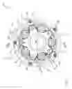 Fig. 24 - Coupling device and fibre-reinforced articulation device