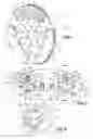 Fig. 02 - Clutch friction disc