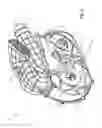 Fig. 03 - Engine braking system for continuously variable transmission