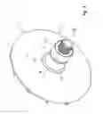 Fig. 04 - Engine braking system for continuously variable transmission