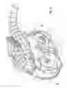 Fig. 05 - Housing for a transmission
